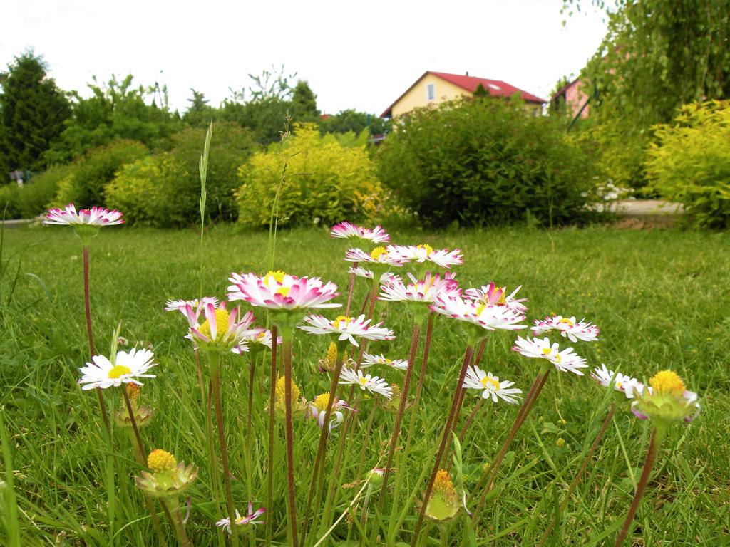 Pokoje Zabi Staw Mikołajki Buitenkant foto