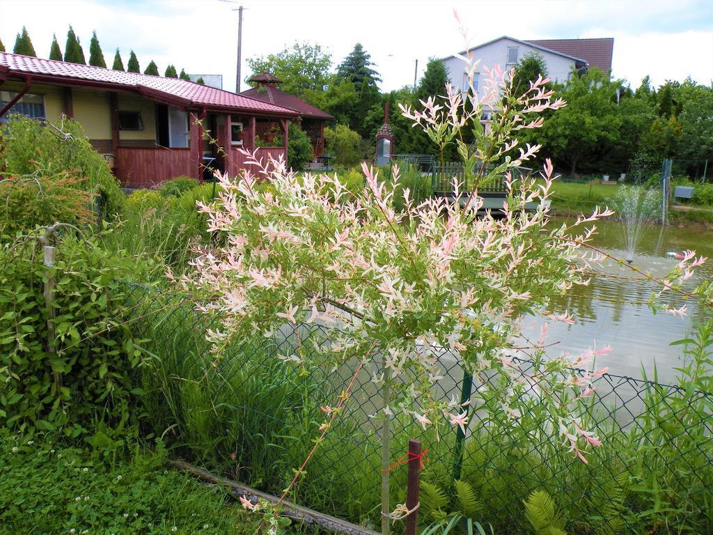 Pokoje Zabi Staw Mikołajki Buitenkant foto